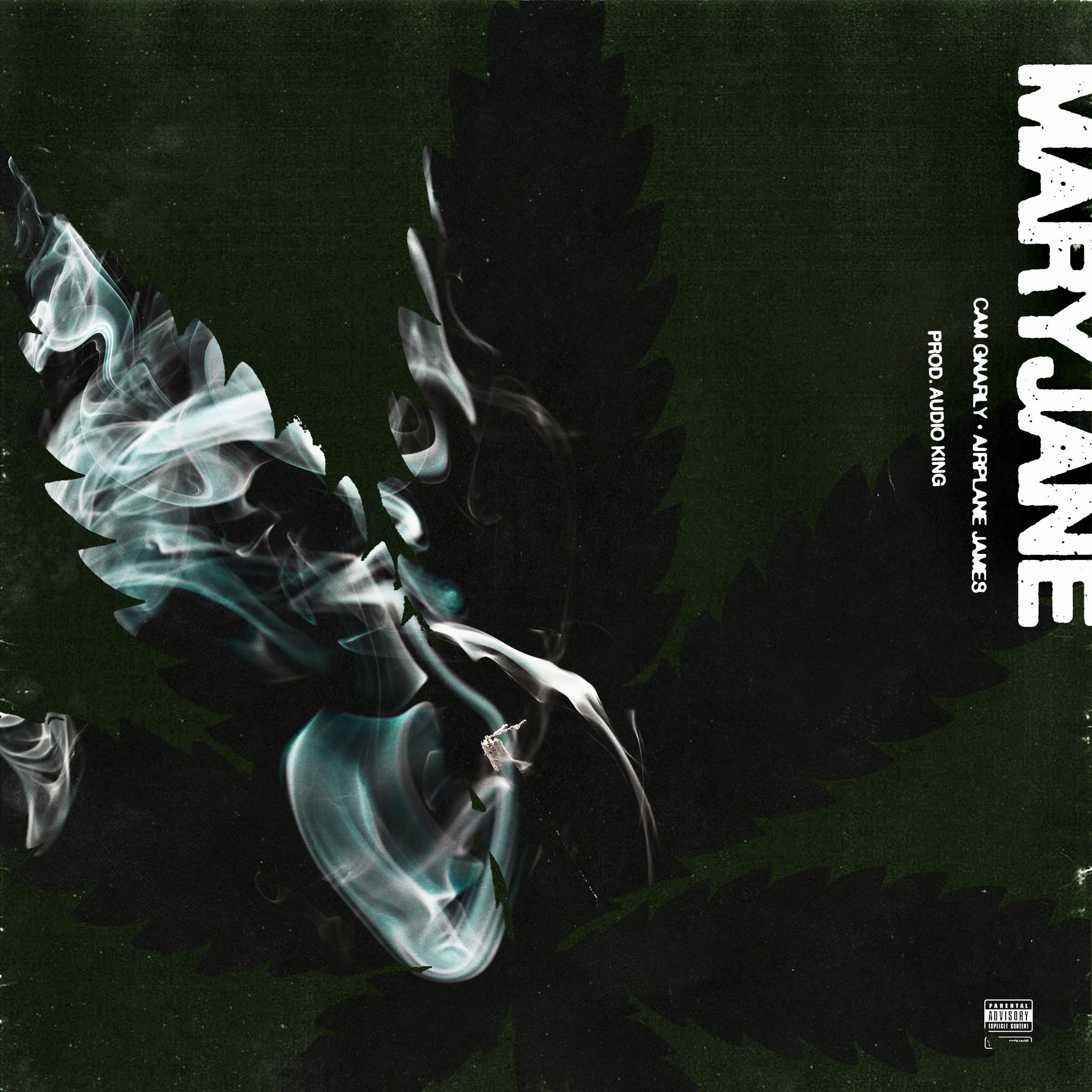 Cam Gnarly and Airplane James collab on a new song “MaryJane”